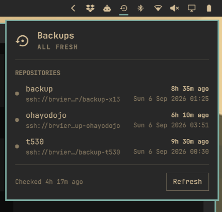 QuickBorgmatic panel showing per-repository backup freshness